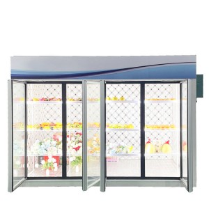 Display Cold Room With Glass Doors